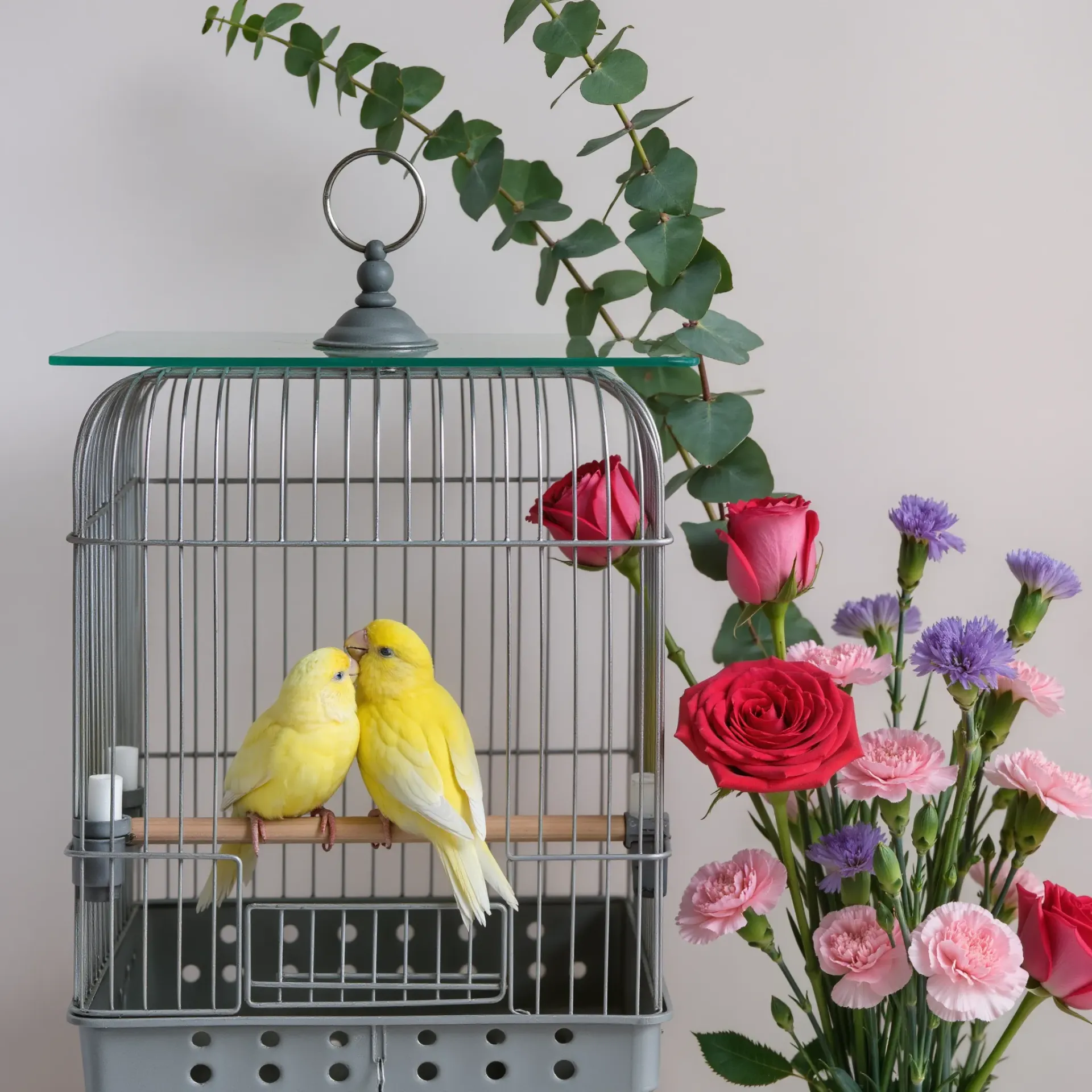 زوج من العصافير في قفص مع تنسيق باقة ورد طبيعي بأنواع متنوعة بطريقة أنيقة